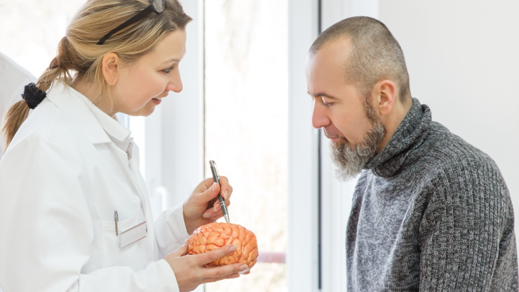 Médica mostrando um protótipo de um cérebro para o paciente